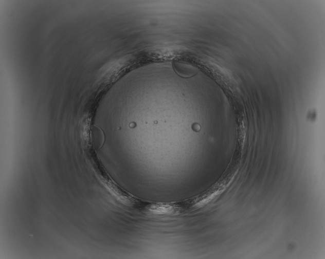 X0000097830181200803281209