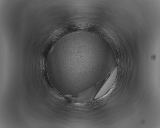 X0000097830182200803281209