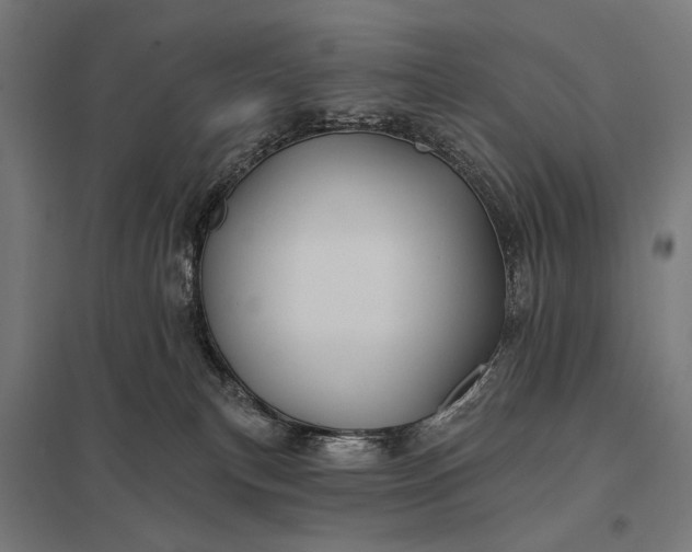 X0000097830183200803281209