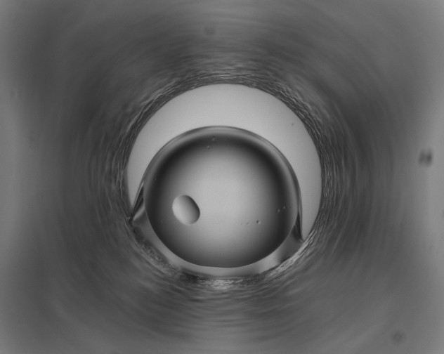 X0000097830184200803281209