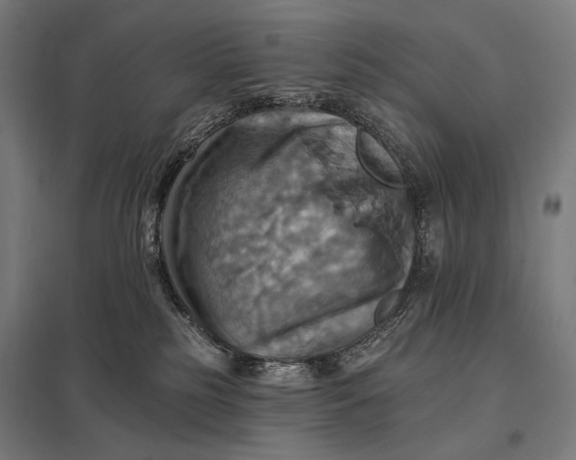 X0000097830185200803281209