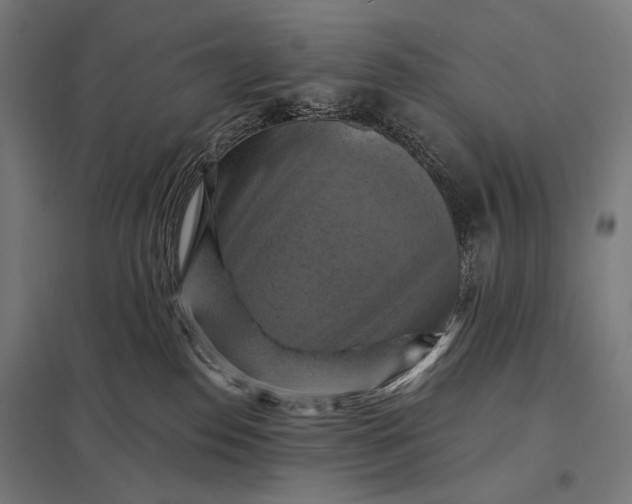 X0000097830186200803281209