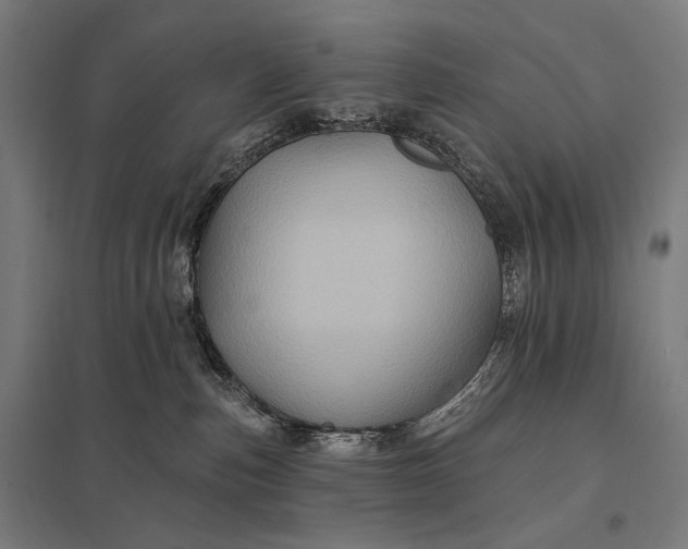 X0000097830187200803281209