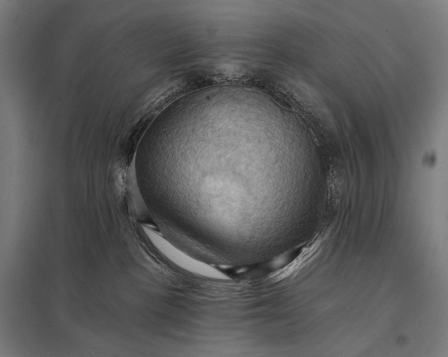 X0000097830188200803281209