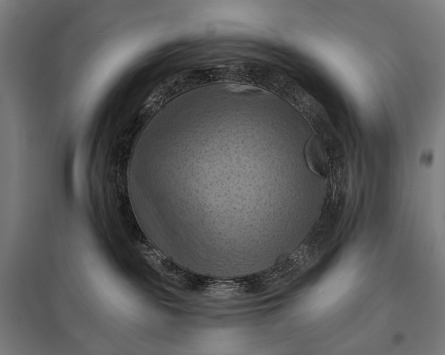 X0000097830189200803281209