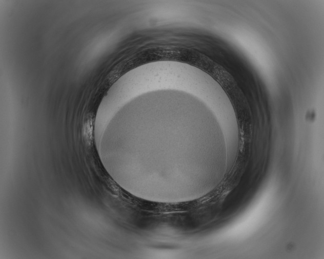 X0000097830190200803281209