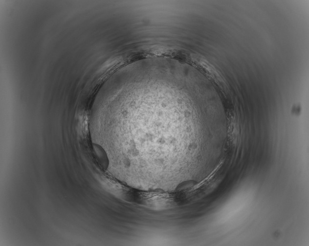 X0000097830191200803281209