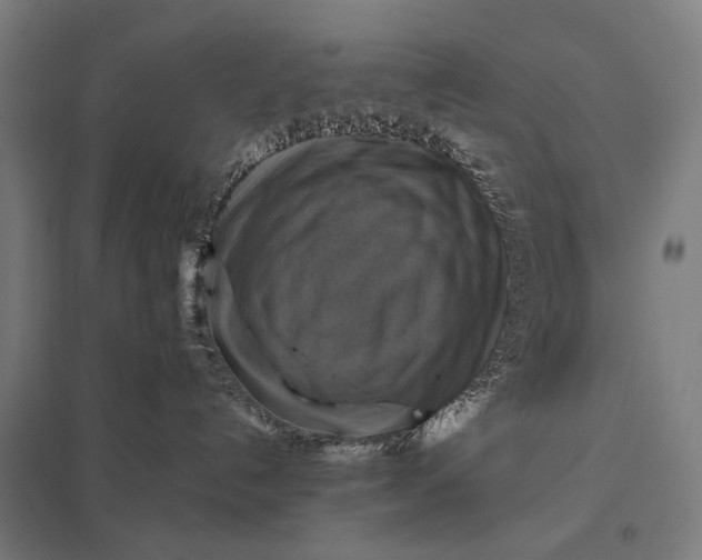 X0000097830192200803281209