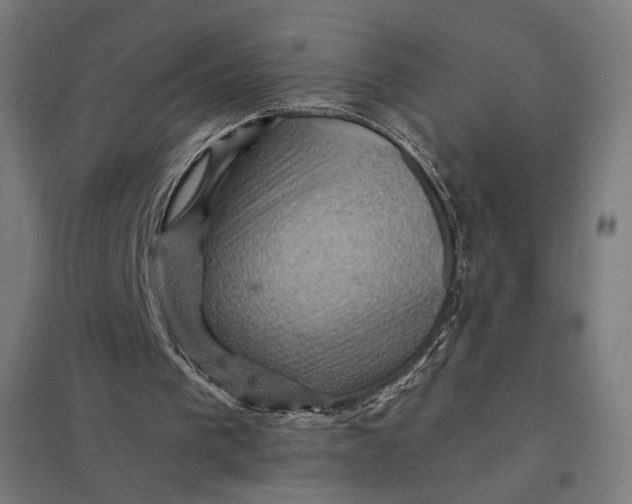 X0000097830193200803281208