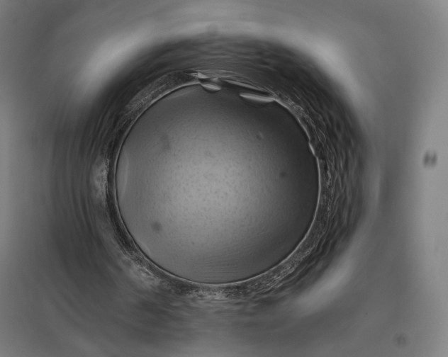 X0000097830194200803281208