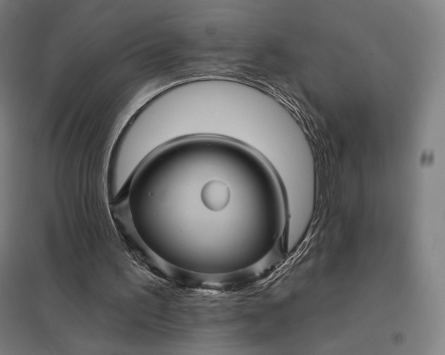 X0000097830195200803281208