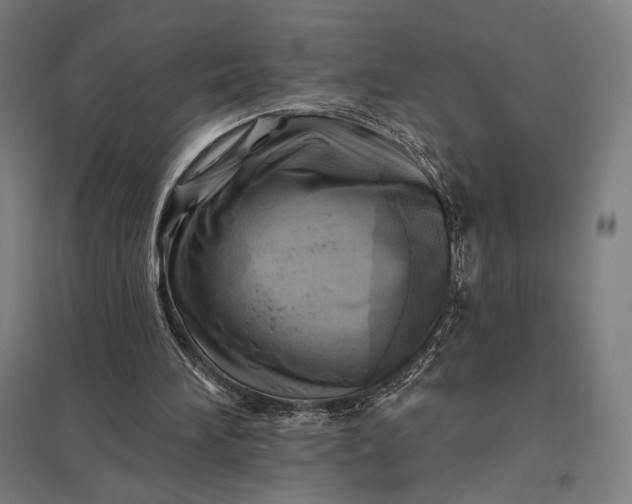 X0000097830196200803281208