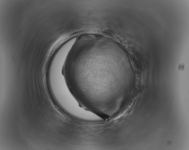 X0000097830197200803281208