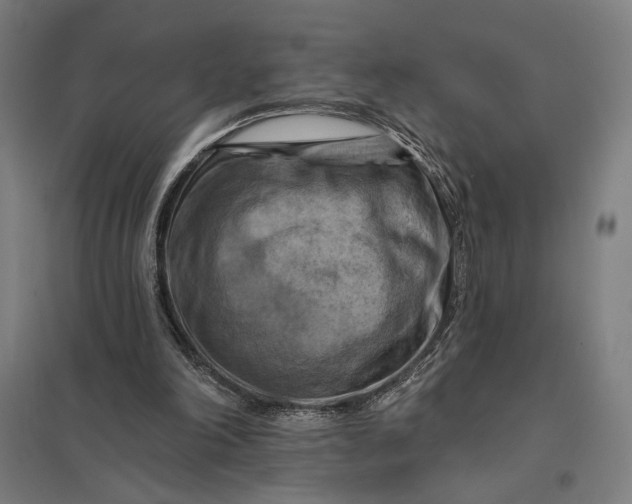 X0000097830198200803281208