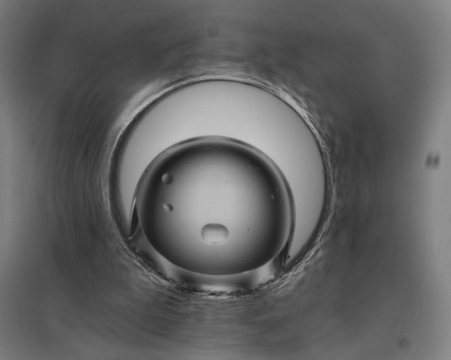 X0000097830199200803281208