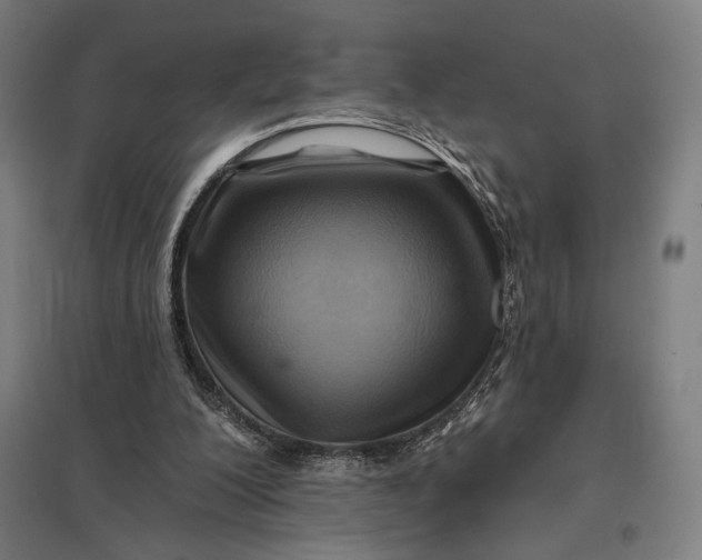 X0000097830200200803281208