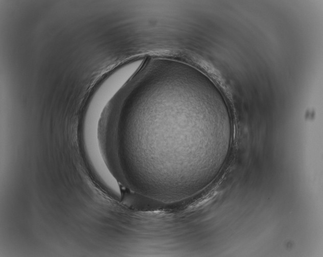 X0000097830201200803281208