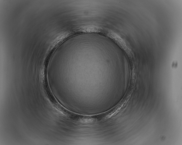 X0000097830202200803281208