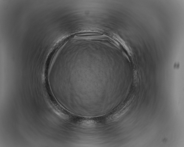 X0000097830203200803281208