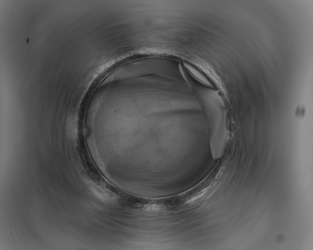 X0000097830204200803281208