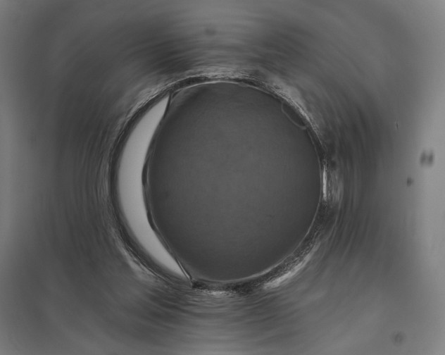 X0000097830205200803281208