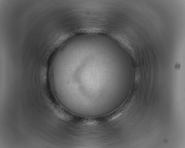 X0000097830206200803281208