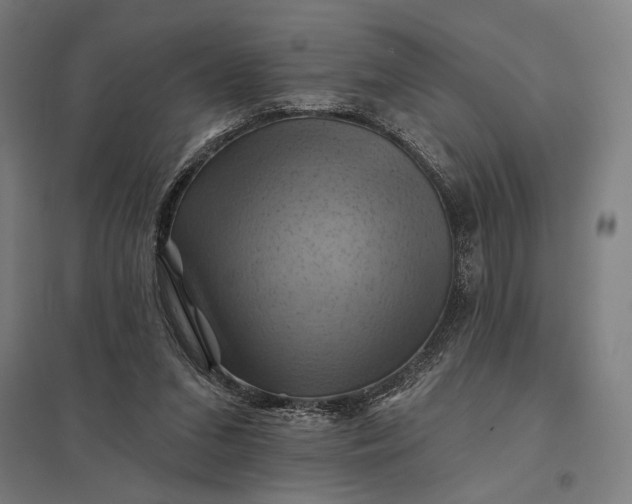 X0000097830207200803281208