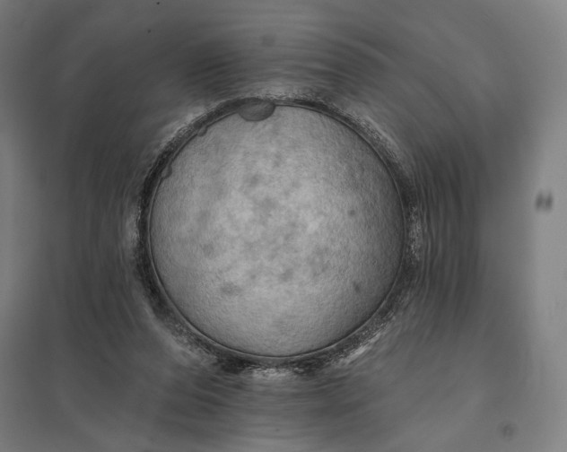 X0000097830208200803281208