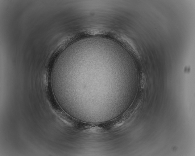 X0000097830210200803281208