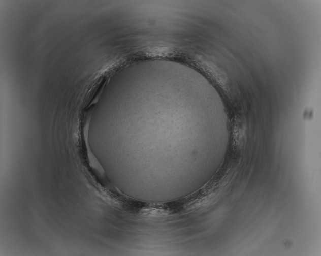 X0000097830211200803281208