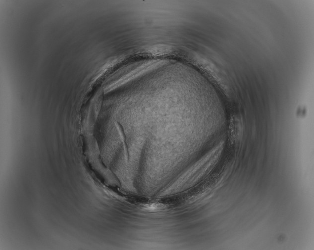 X0000097830212200803281208