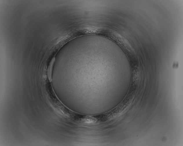 X0000097830215200803281208