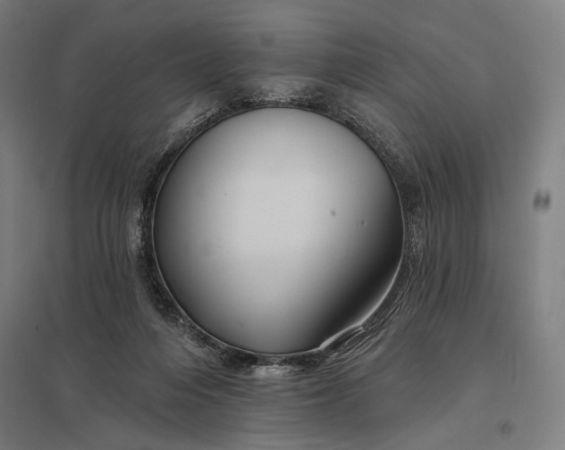 X0000097830216200803281208