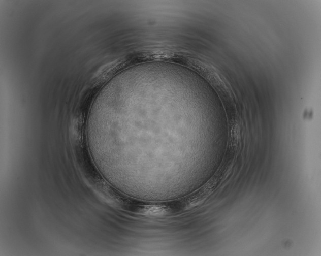 X0000097830218200803281208