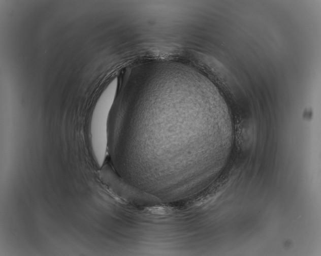 X0000097830221200803281208