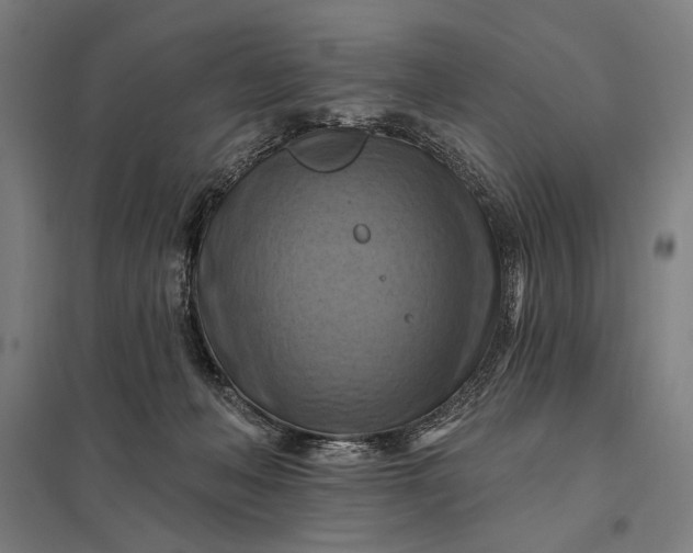 X0000097830222200803281208