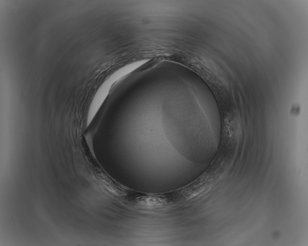 X0000097830223200803281208