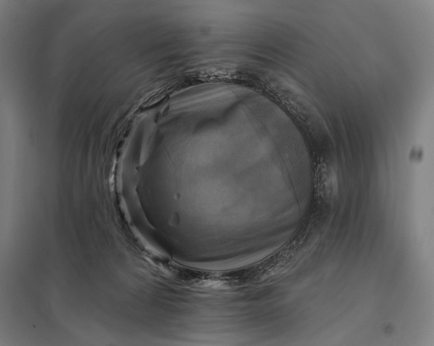 X0000097830224200803281208