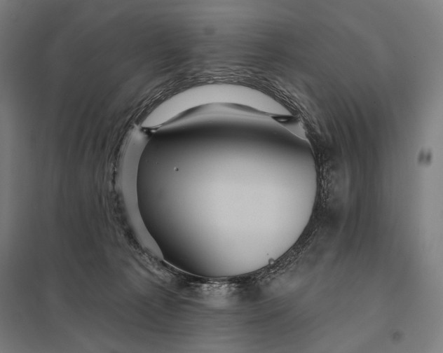 X0000097830225200803281208