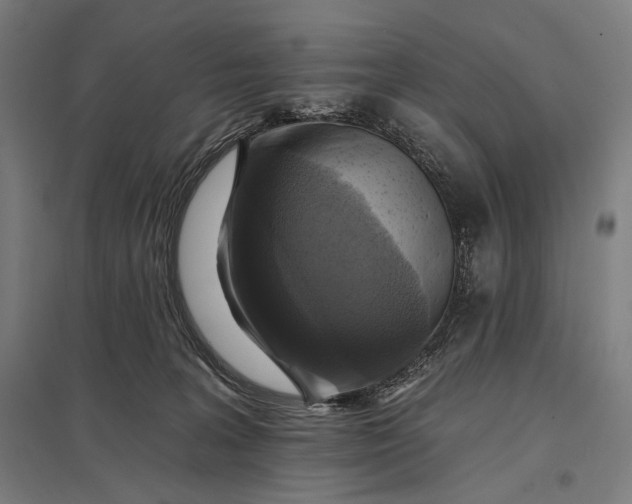 X0000097830227200803281208