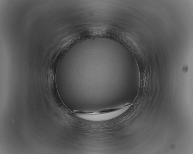 X0000097830228200803281208