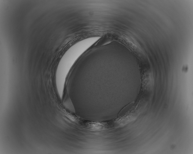 X0000097830229200803281208