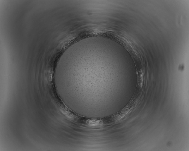 X0000097830230200803281208