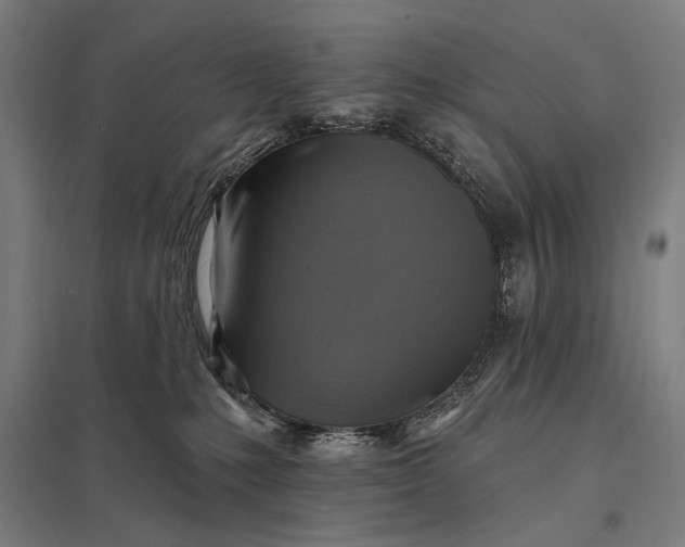 X0000097830231200803281208