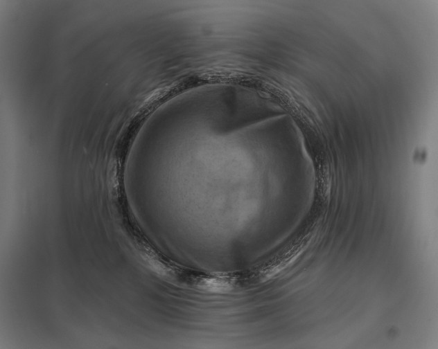 X0000097830232200803281208