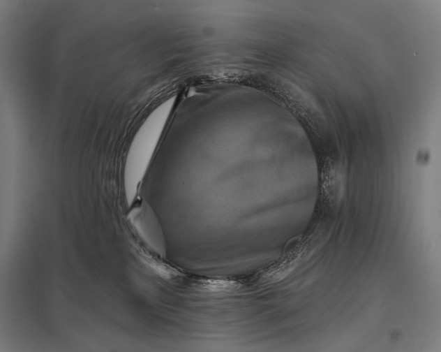 X0000097830233200803281208