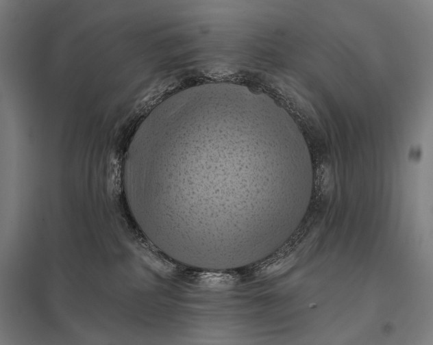 X0000097830234200803281208