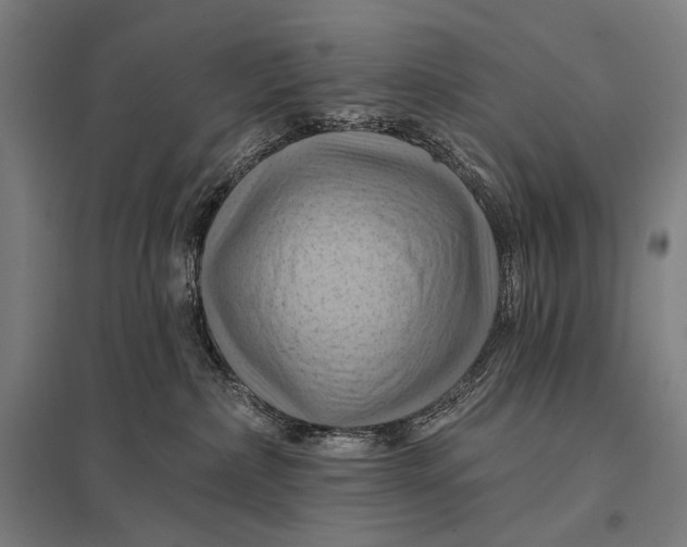 X0000097830236200803281208