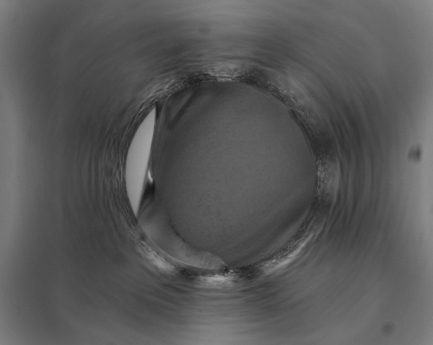 X0000097830237200803281208