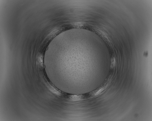 X0000097830238200803281208